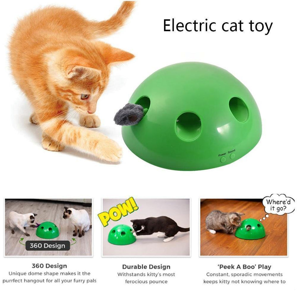 Electric Pet Cat Traning Toy