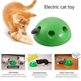 Electric Pet Cat Traning Toy