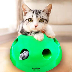 Electric Pet Cat Traning Toy