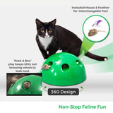 Electric Pet Cat Traning Toy