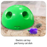 Electric Pet Cat Traning Toy