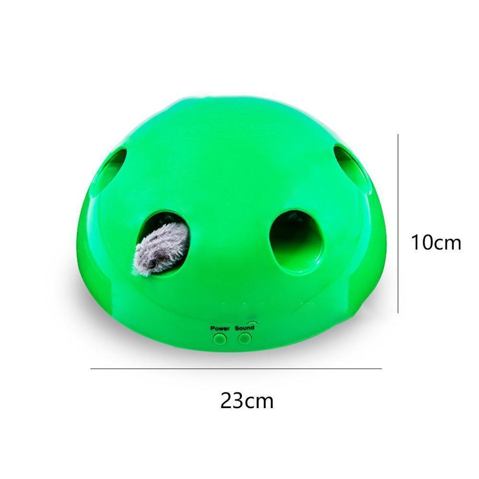 Electric Pet Cat Traning Toy