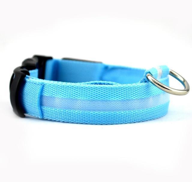 Night-Safety LED Pet Collar