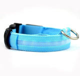 Night-Safety LED Pet Collar